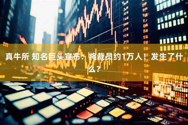 真牛所 知名巨头宣布：将裁员约1万人！发生了什么？
