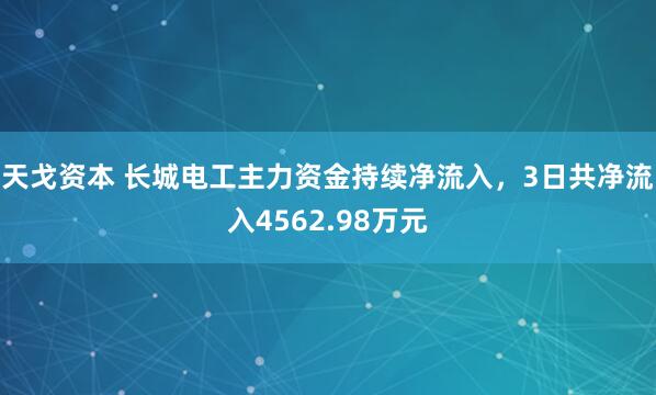 天戈资本 长城电工主力资金持续净流入，3日共净流入4562.98万元