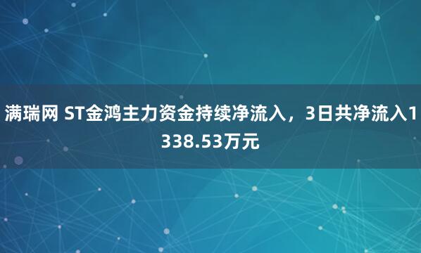 满瑞网 ST金鸿主力资金持续净流入，3日共净流入1338.53万元