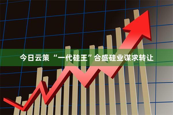今日云策 “一代硅王”合盛硅业谋求转让