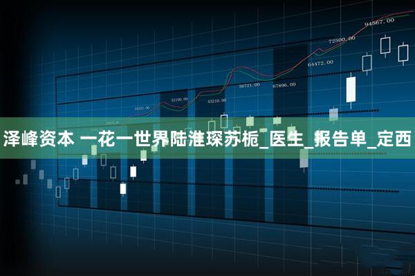 泽峰资本 一花一世界陆淮琛苏栀_医生_报告单_定西
