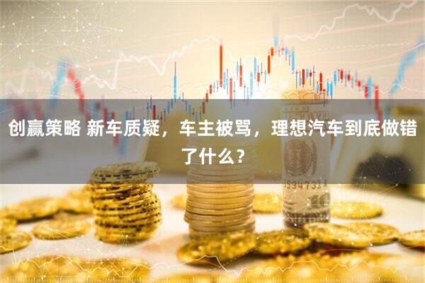 创赢策略 新车质疑，车主被骂，理想汽车到底做错了什么？