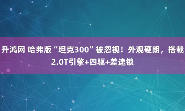 升鸿网 哈弗版“坦克300”被忽视！外观硬朗，搭载2.0T引擎+四驱+差速锁