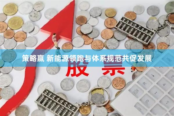 策略赢 新能源领跑与体系规范共促发展