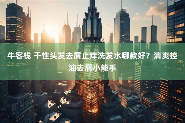 牛客栈 干性头发去屑止痒洗发水哪款好？清爽控油去屑小能手