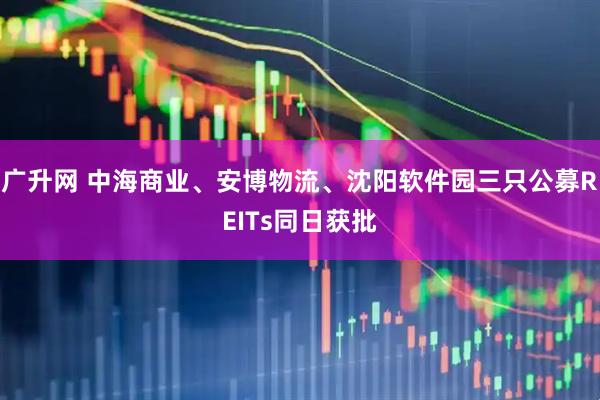 广升网 中海商业、安博物流、沈阳软件园三只公募REITs同日获批