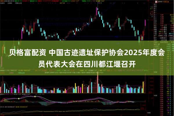 贝格富配资 中国古迹遗址保护协会2025年度会员代表大会在四川都江堰召开