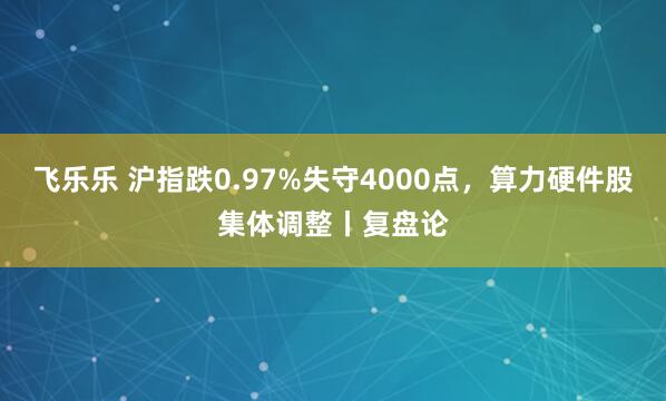 飞乐乐 沪指跌0.97%失守4000点,算力硬件股集体调整丨复盘论