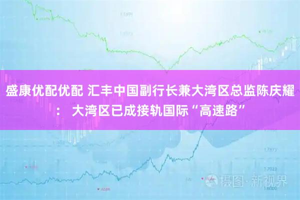 盛康优配优配 汇丰中国副行长兼大湾区总监陈庆耀: 大湾区已成接轨国际“高速路”