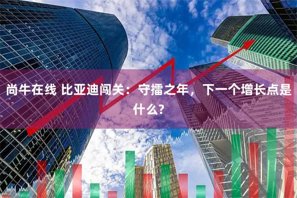 尚牛在线 比亚迪闯关：守擂之年，下一个增长点是什么?